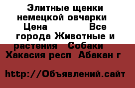 Элитные щенки немецкой овчарки › Цена ­ 30 000 - Все города Животные и растения » Собаки   . Хакасия респ.,Абакан г.